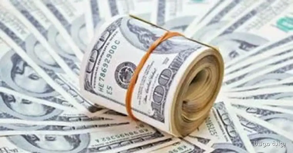 سعر الدولار مقابل الجنيه اليوم في بنك التجاري الدولي 47.51 جنيه الخميس 9 أكتوبر 2025