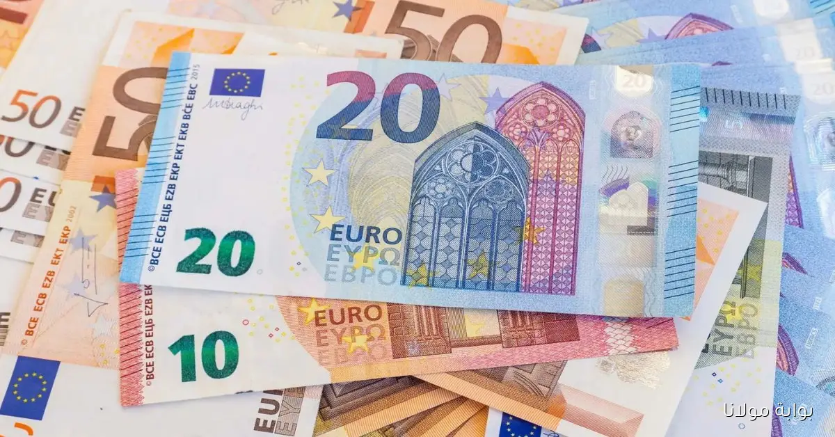 شحال الأورو.. سعر اليورو مقابل الدينار الجزائري اليوم متابعة مباشرة لتغيرات السوق الرسمية والسكوار