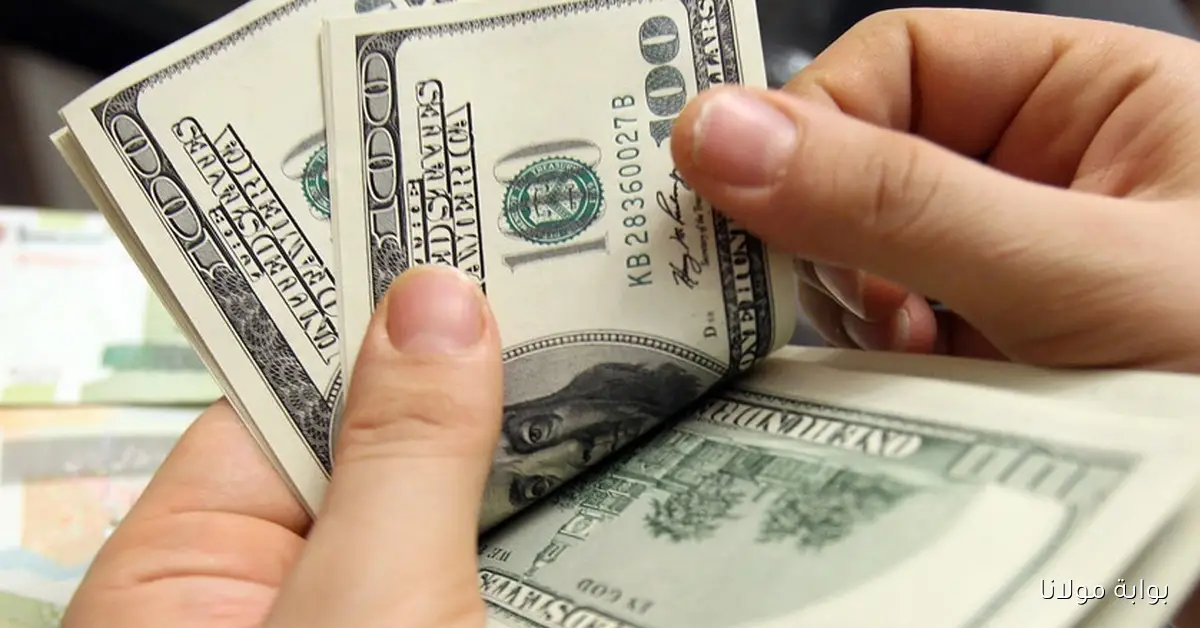 شقد USD.. سعر صرف الدولار مقابل الدينار العراقي اليوم كم يساوي 100 دولار في البنوك وبورصات الكفاح والحارثية؟