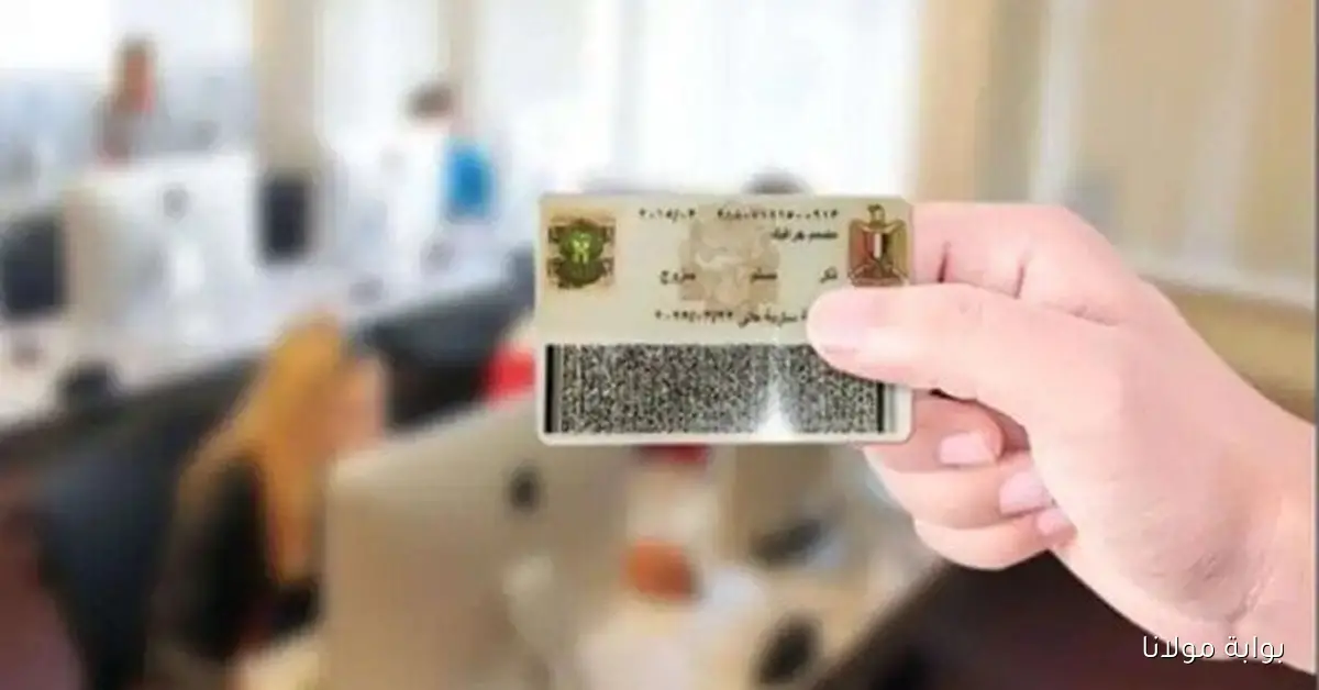 كيفية الحصول على بطاقة الرقم القومي بسرعة في 2025 عبر الإنترنت مع رابط رسمي