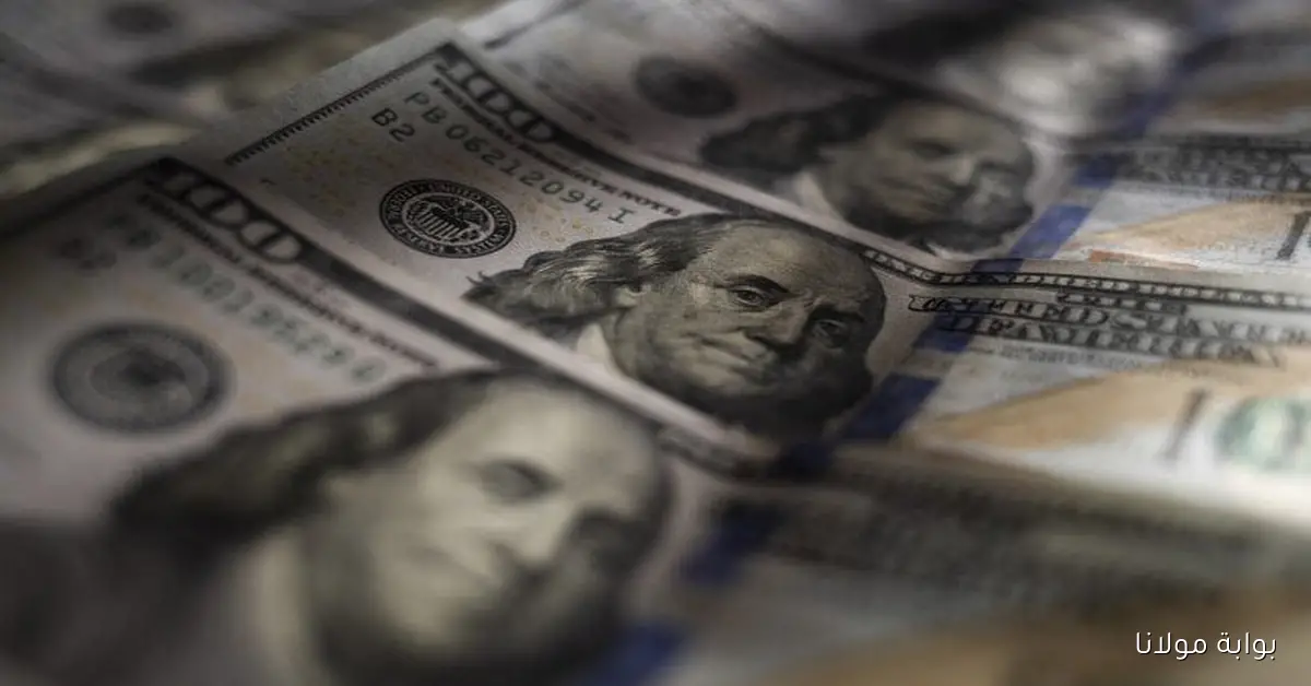 لحظة بلحظة سعر الدولار مصر اليوم الجمعة 3 أكتوبر 2025 مقابل الجنيه