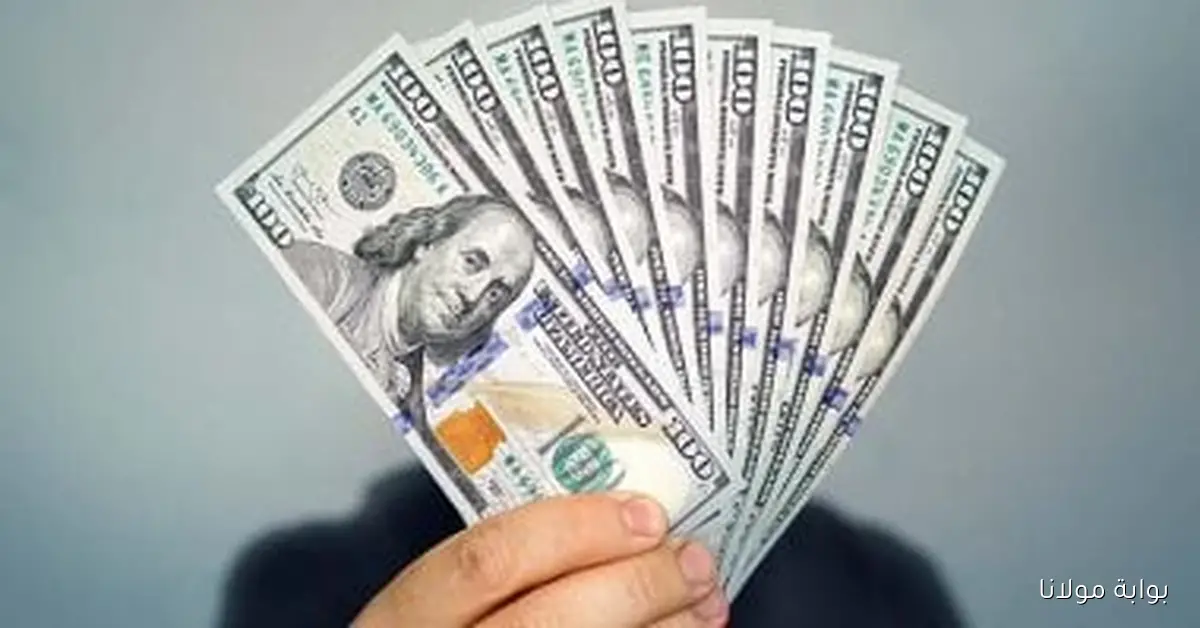«مفاجأة الأسبوع».. سعر الدولار يرتفع أمام الجنيه في البنوك المصرية اليوم 23-10-2025