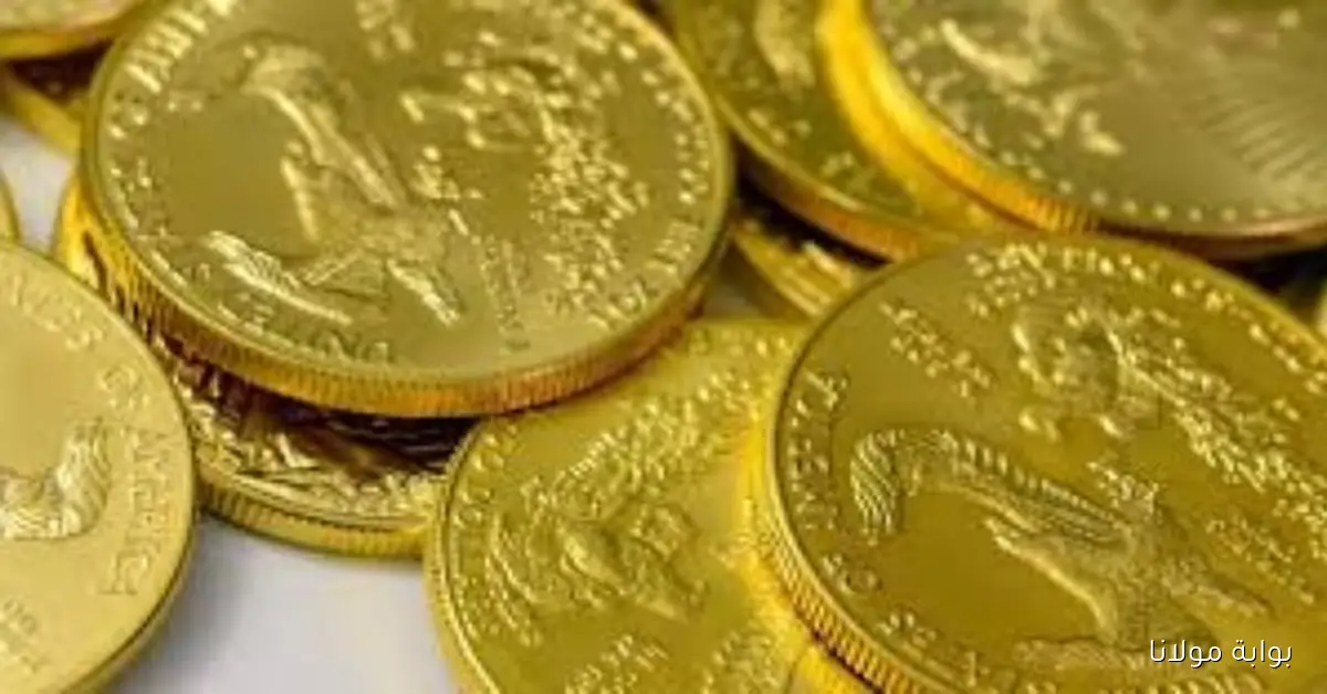 «مفاجأة السوق».. سعر الجنيه الذهب يسجل ارتفاعًا ملحوظًا اليوم السبت 25-10-2025