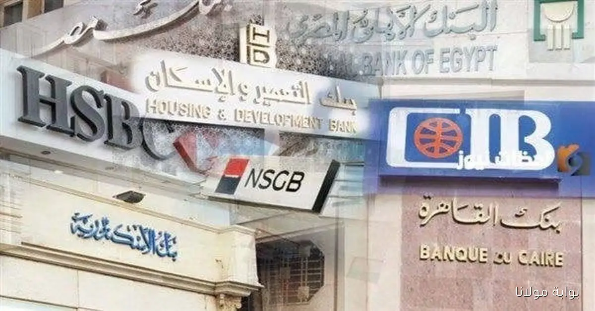 مواعيد عمل البنوك المصرية والبريد عند تطبيق التوقيت الشتوي نهايه الشهر الحالي
