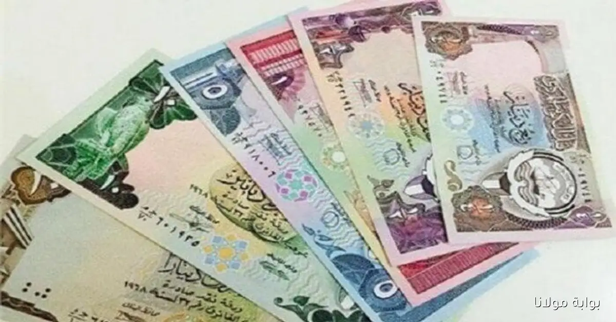«يا سلام».. سعر الدينار الكويتي في البنوك اليوم الخميس 23 أكتوبر 2025 يحقق ارتفاعًا ملحوظًا