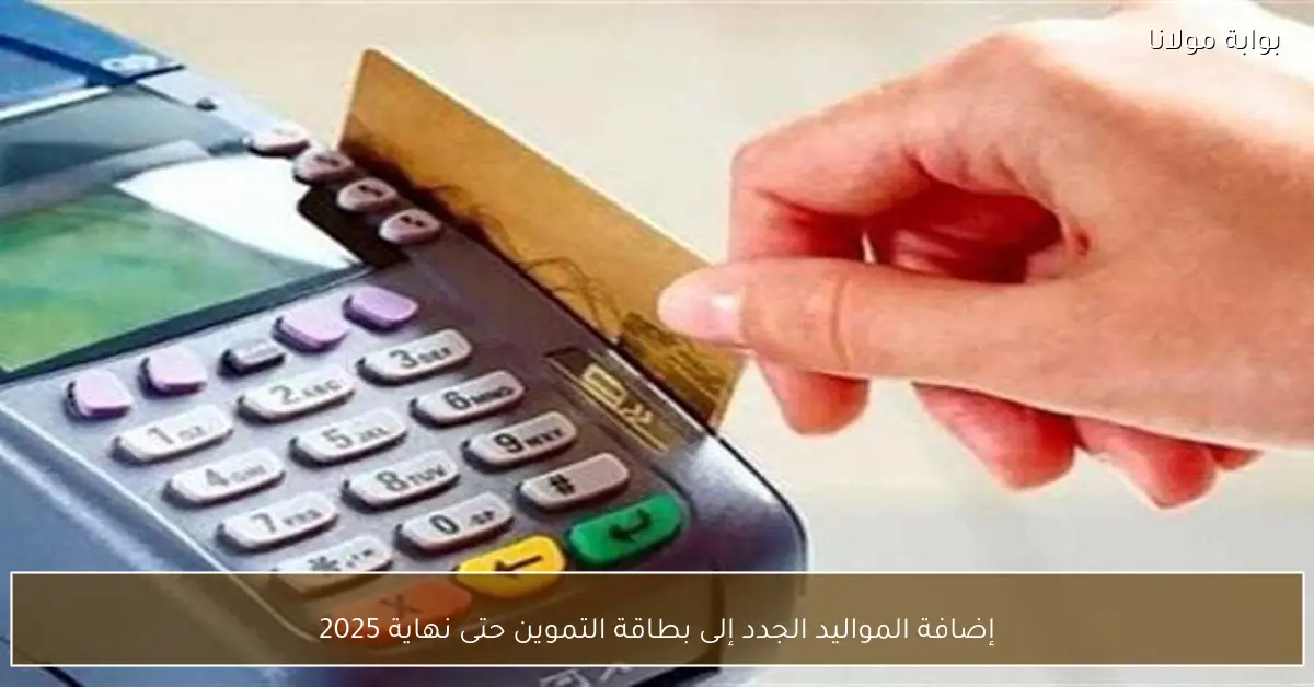 إضافة المواليد الجدد إلى بطاقة التموين حتى نهاية 2025