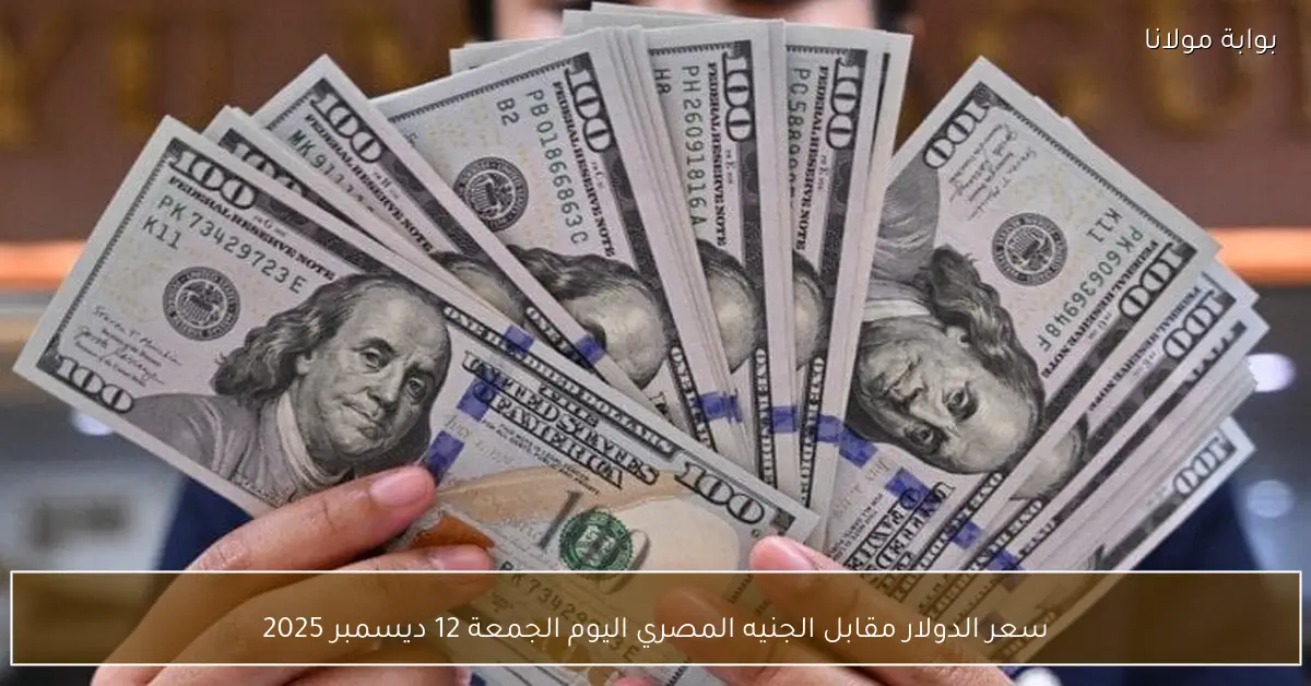 سعر الدولار مقابل الجنيه المصري اليوم الجمعة 12 ديسمبر 2025