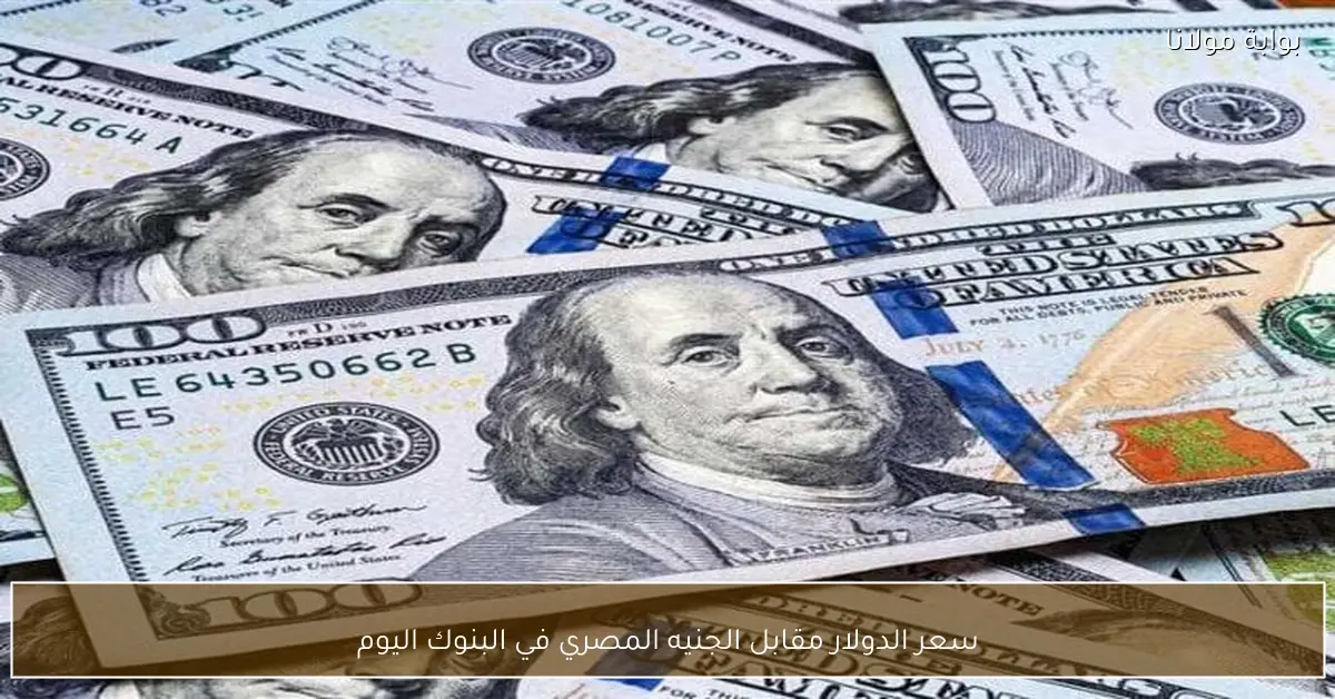 سعر الدولار مقابل الجنيه المصري في البنوك اليوم