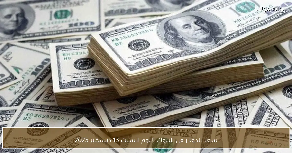 سعر الدولار في البنوك اليوم السبت 13 ديسمبر 2025