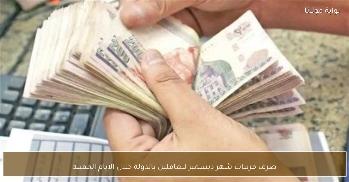 صرف مرتبات شهر ديسمبر للعاملين بالدولة خلال الأيام المقبلة