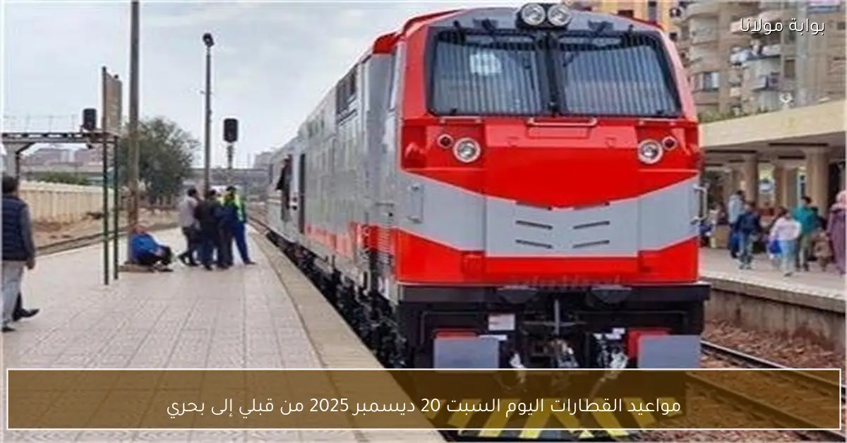 مواعيد القطارات اليوم السبت 20 ديسمبر 2025 من قبلي إلى بحري