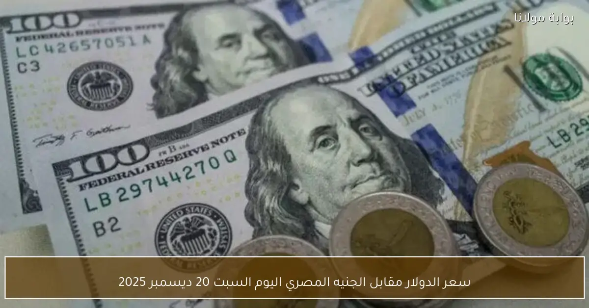 سعر الدولار مقابل الجنيه المصري اليوم السبت 20 ديسمبر 2025