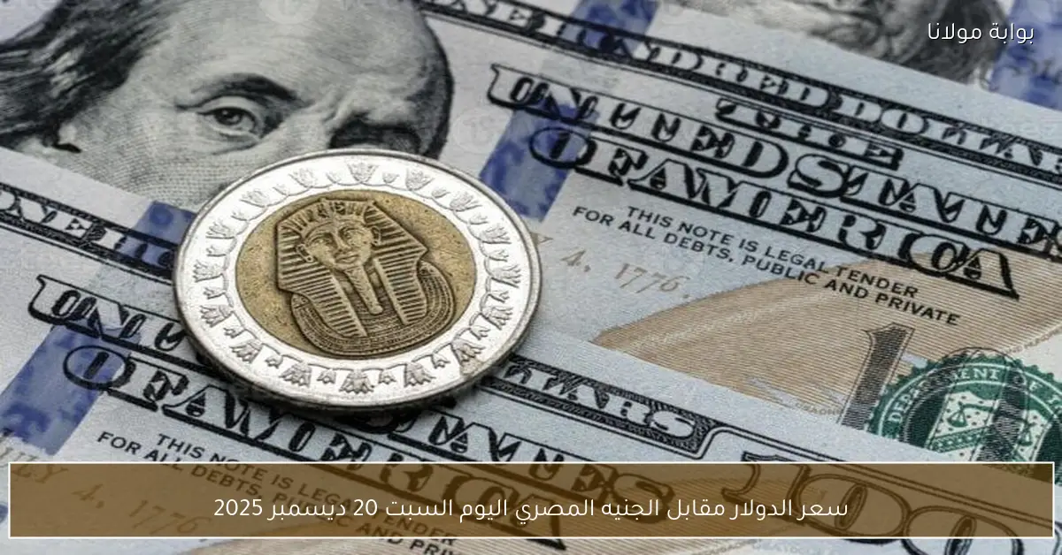 سعر الدولار مقابل الجنيه المصري اليوم السبت 20 ديسمبر 2025