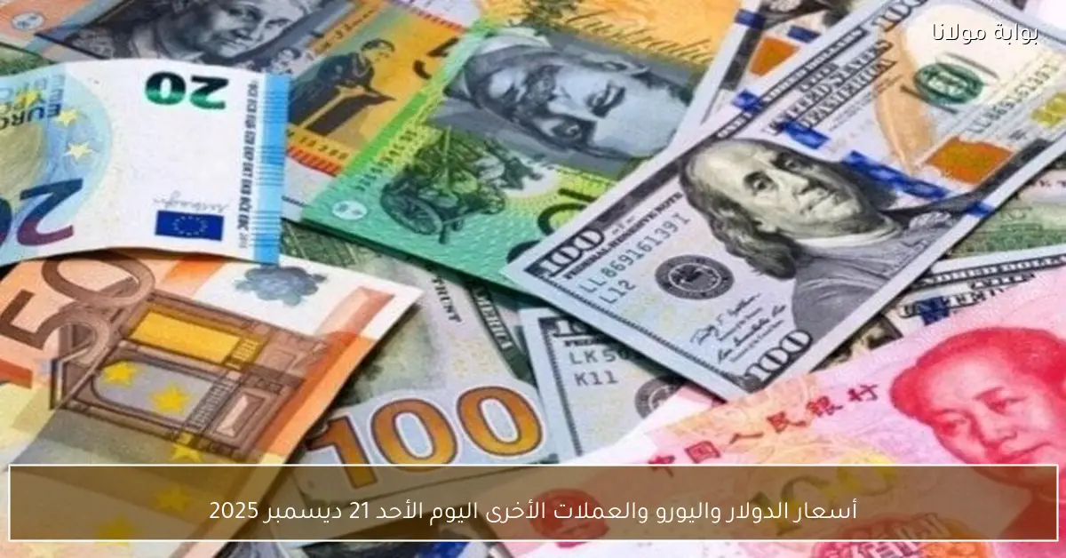 أسعار الدولار واليورو والعملات الأخرى اليوم الأحد 21 ديسمبر 2025