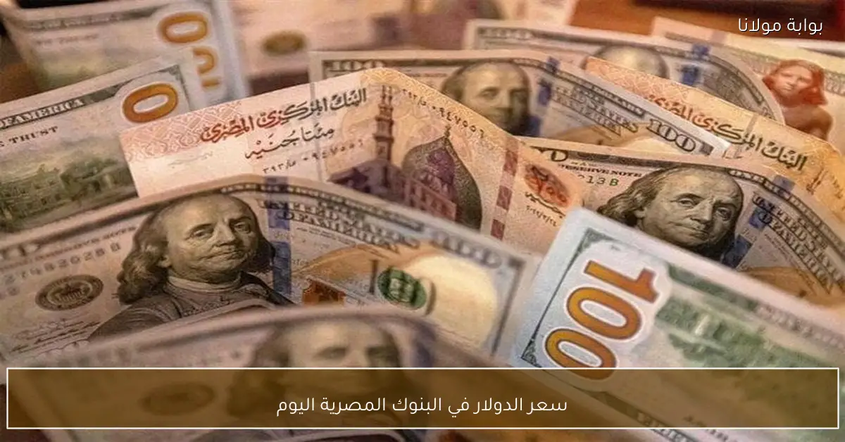 سعر الدولار في البنوك المصرية اليوم
