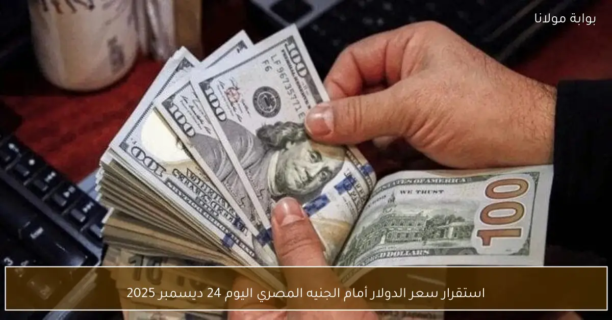 استقرار سعر الدولار أمام الجنيه المصري اليوم 24 ديسمبر 2025