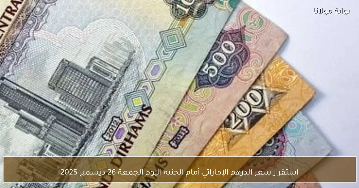 استقرار سعر الدرهم الإماراتي أمام الجنيه اليوم الجمعة 26 ديسمبر 2025