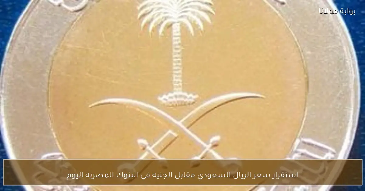 استقرار سعر الريال السعودي مقابل الجنيه في البنوك المصرية اليوم