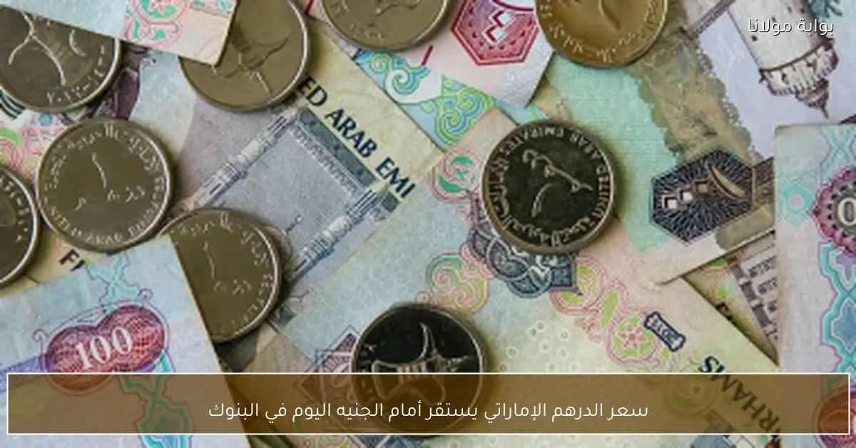 سعر الدرهم الإماراتي يستقر أمام الجنيه اليوم في البنوك