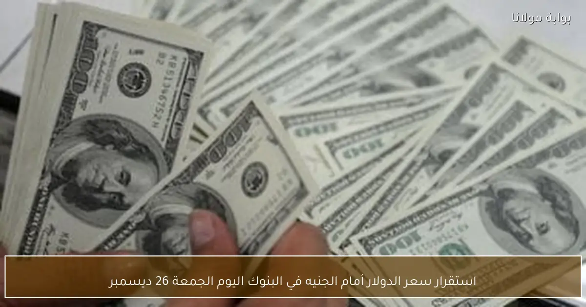 استقرار سعر الدولار أمام الجنيه في البنوك اليوم الجمعة 26 ديسمبر