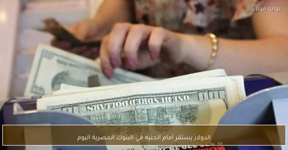 الدولار يستقر أمام الجنيه في البنوك المصرية اليوم