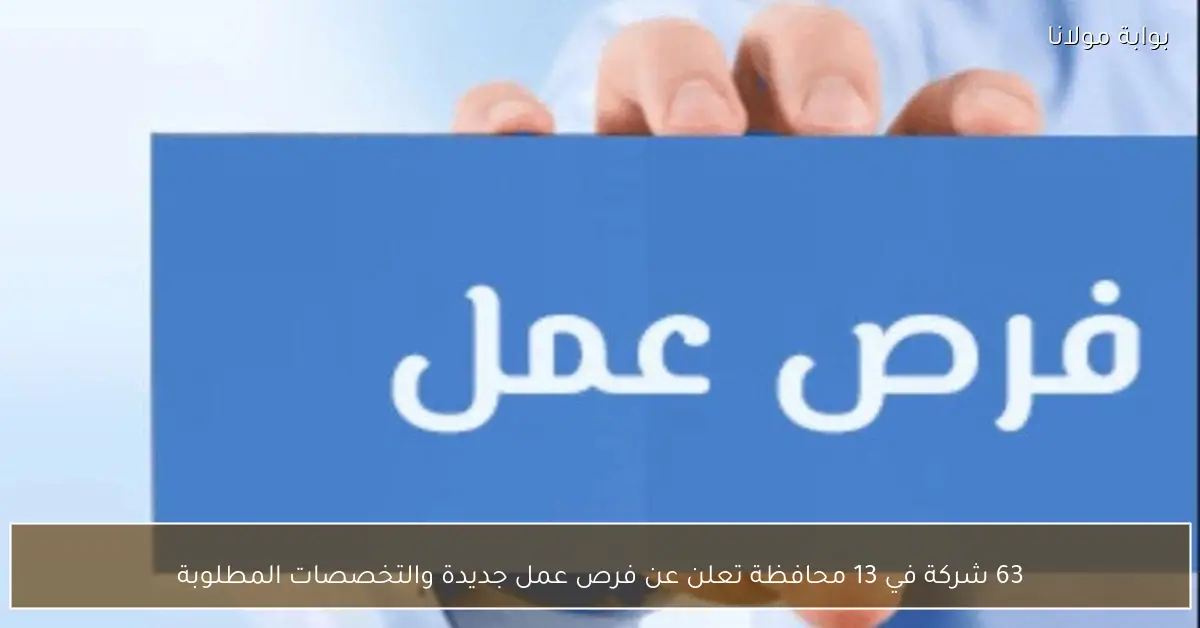 63 شركة في 13 محافظة تعلن عن فرص عمل جديدة والتخصصات المطلوبة