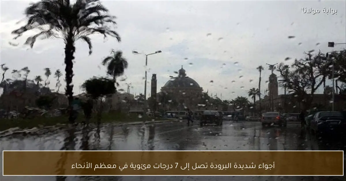 أجواء شديدة البرودة تصل إلى 7 درجات مئوية في معظم الأنحاء