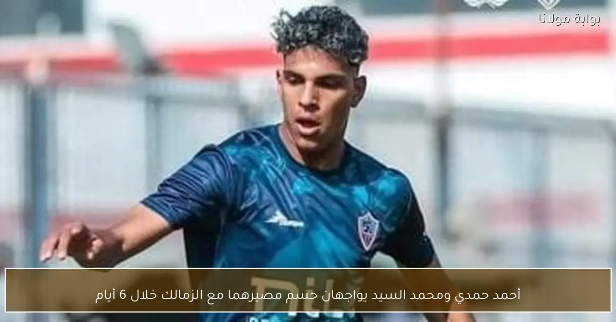 أحمد حمدي ومحمد السيد يواجهان حسم مصيرهما مع الزمالك خلال 6 أيام