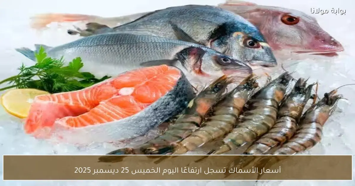أسعار الأسماك تسجل ارتفاعًا اليوم الخميس 25 ديسمبر 2025