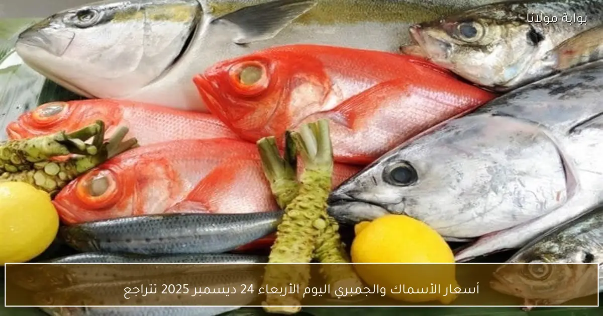 أسعار الأسماك والجمبري اليوم الأربعاء 24 ديسمبر 2025 تتراجع