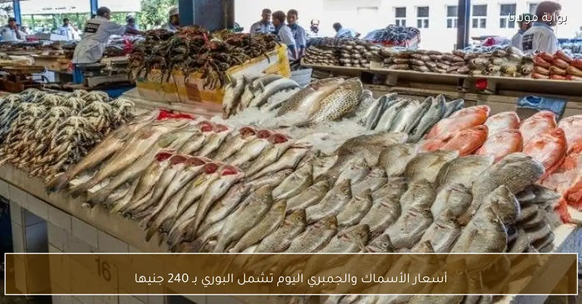 أسعار الأسماك والجمبري اليوم تشمل البوري بـ 240 جنيها