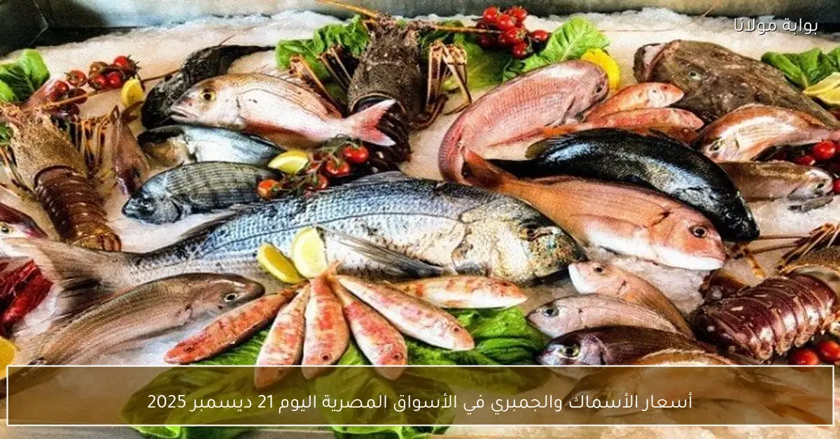 أسعار الأسماك والجمبري في الأسواق المصرية اليوم 21 ديسمبر 2025