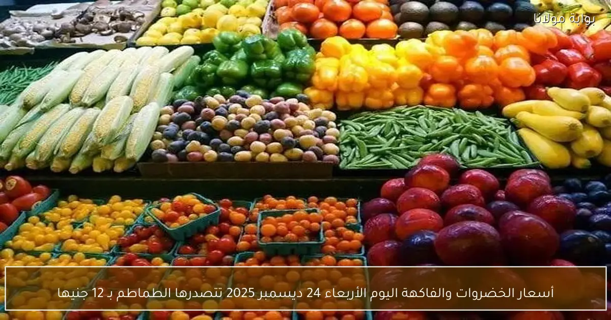 أسعار الخضروات والفاكهة اليوم الأربعاء 24 ديسمبر 2025 تتصدرها الطماطم بـ 12 جنيها