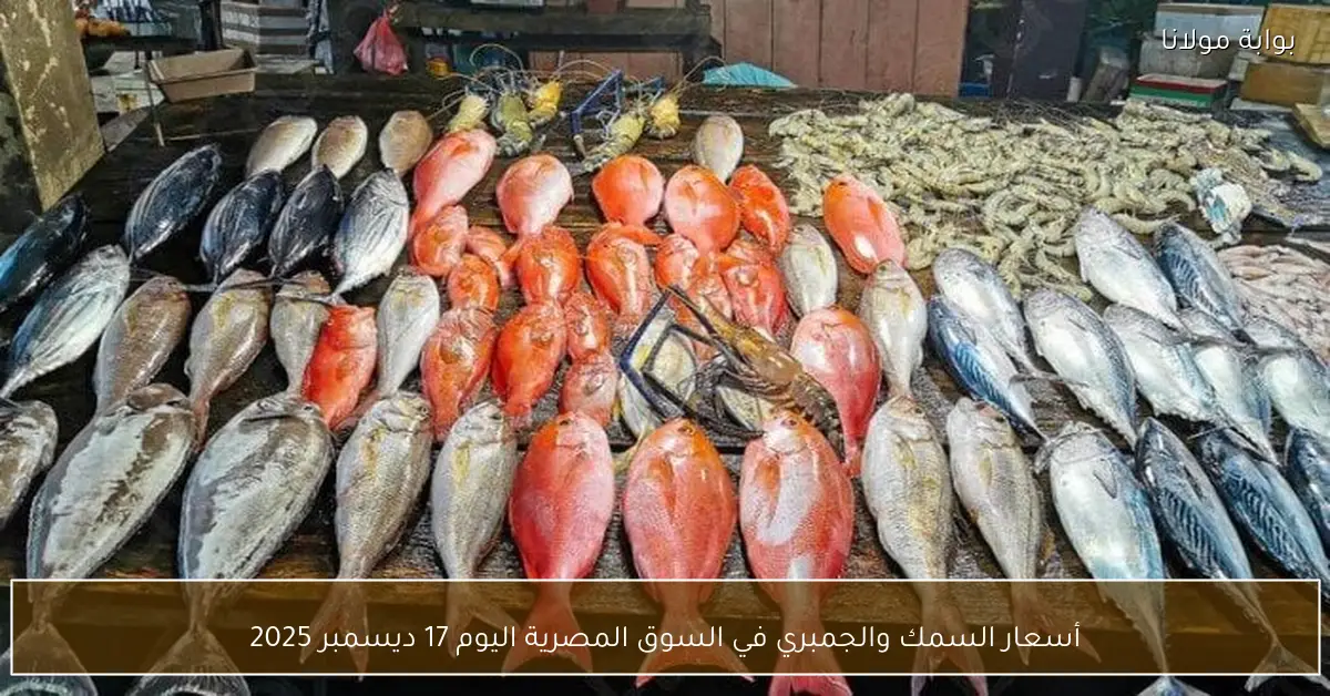 أسعار السمك والجمبري في السوق المصرية اليوم 17 ديسمبر 2025