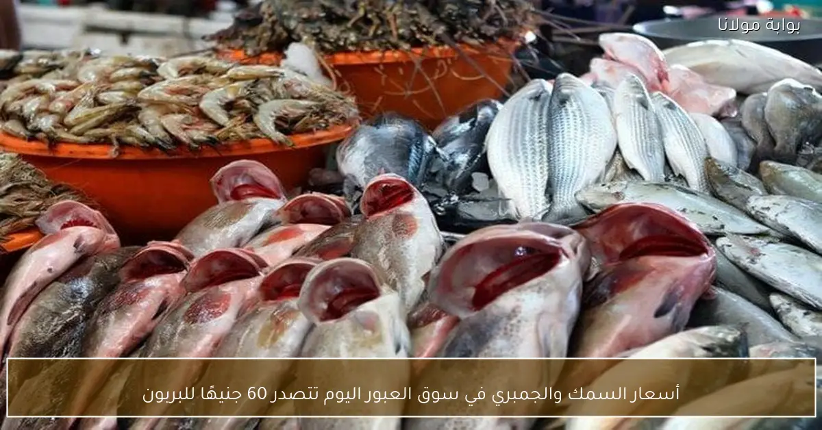 أسعار السمك والجمبري في سوق العبور اليوم تتصدر 60 جنيهًا للبربون