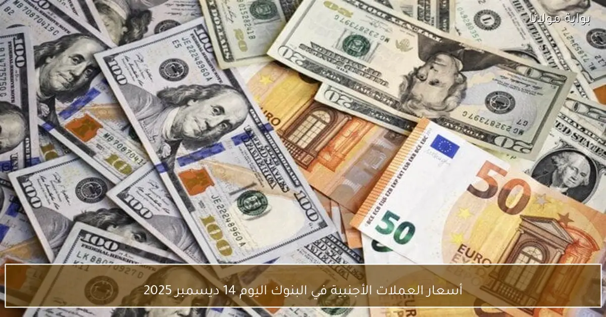 أسعار العملات الأجنبية في البنوك اليوم 14 ديسمبر 2025