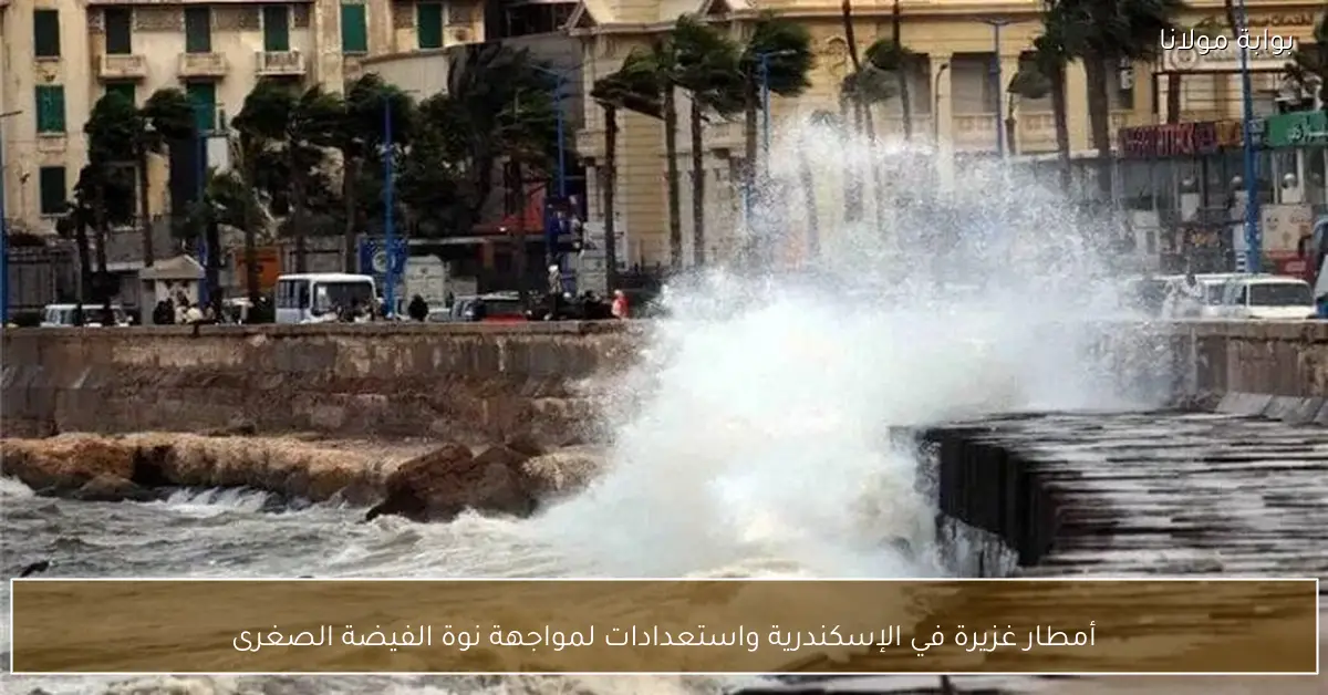 أمطار غزيرة في الإسكندرية واستعدادات لمواجهة نوة الفيضة الصغرى