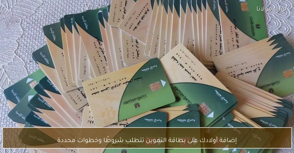 إضافة أولادك على بطاقة التموين تتطلب شروطًا وخطوات محددة