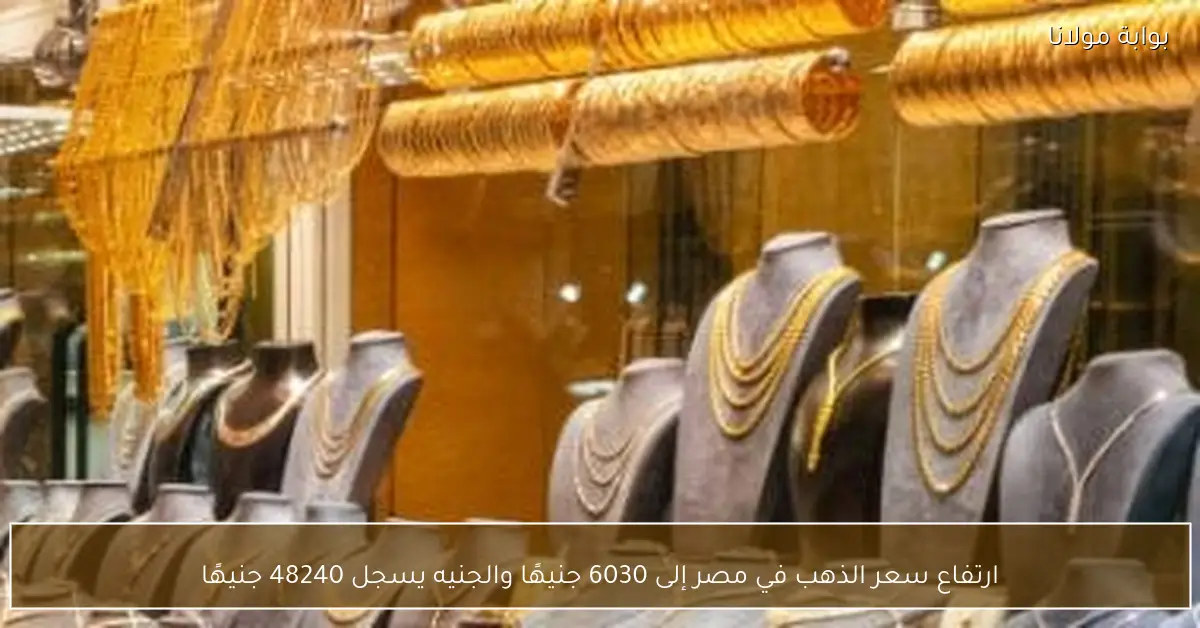 ارتفاع سعر الذهب في مصر إلى 6030 جنيهًا والجنيه يسجل 48240 جنيهًا