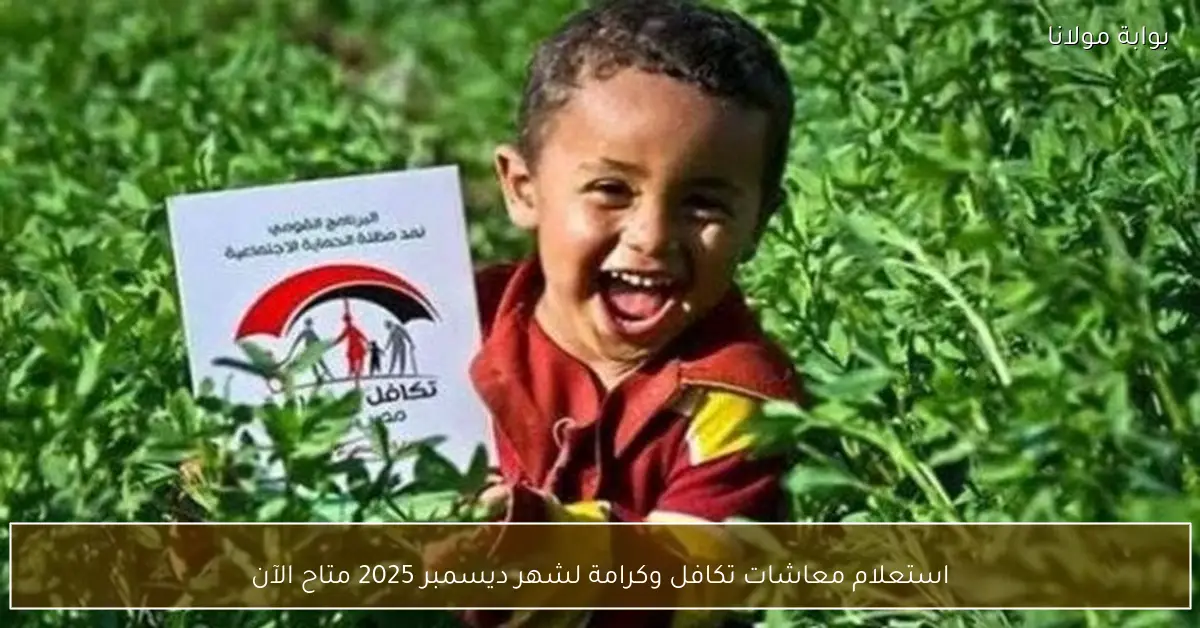 استعلام معاشات تكافل وكرامة لشهر ديسمبر 2025 متاح الآن