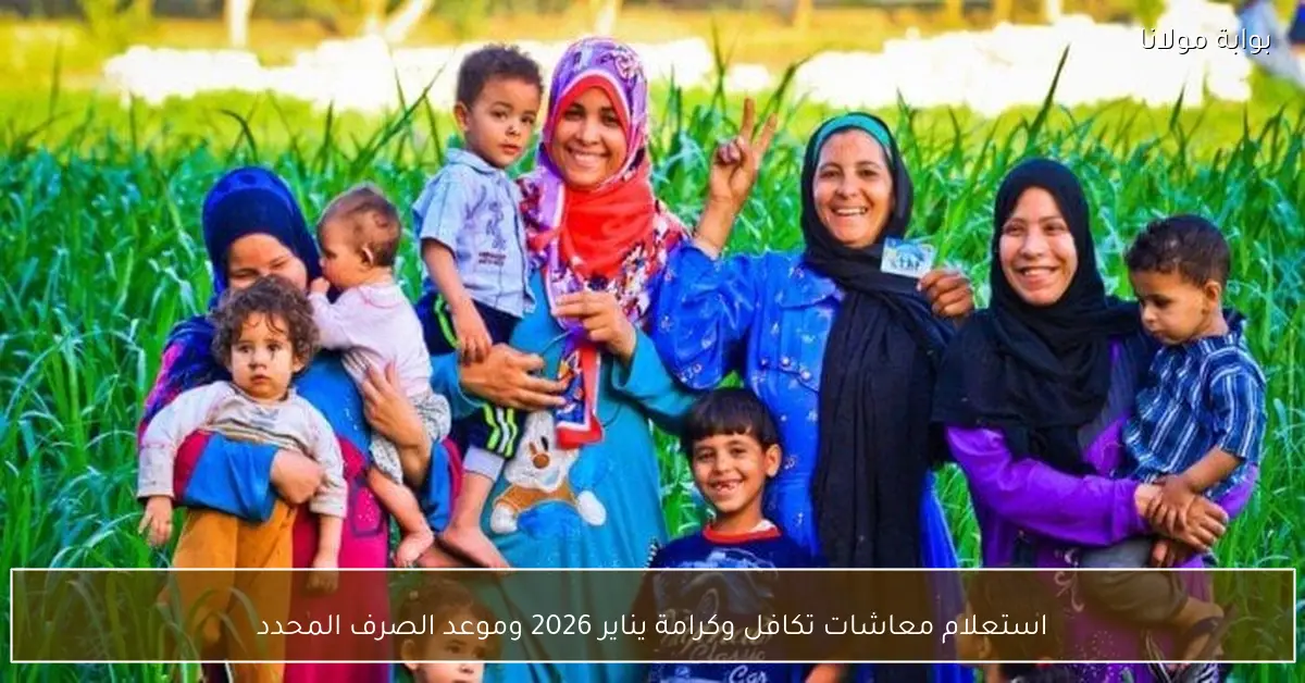 استعلام معاشات تكافل وكرامة يناير 2026 وموعد الصرف المحدد