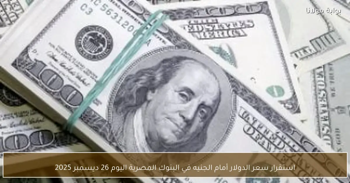 استقرار سعر الدولار أمام الجنيه في البنوك المصرية اليوم 26 ديسمبر 2025