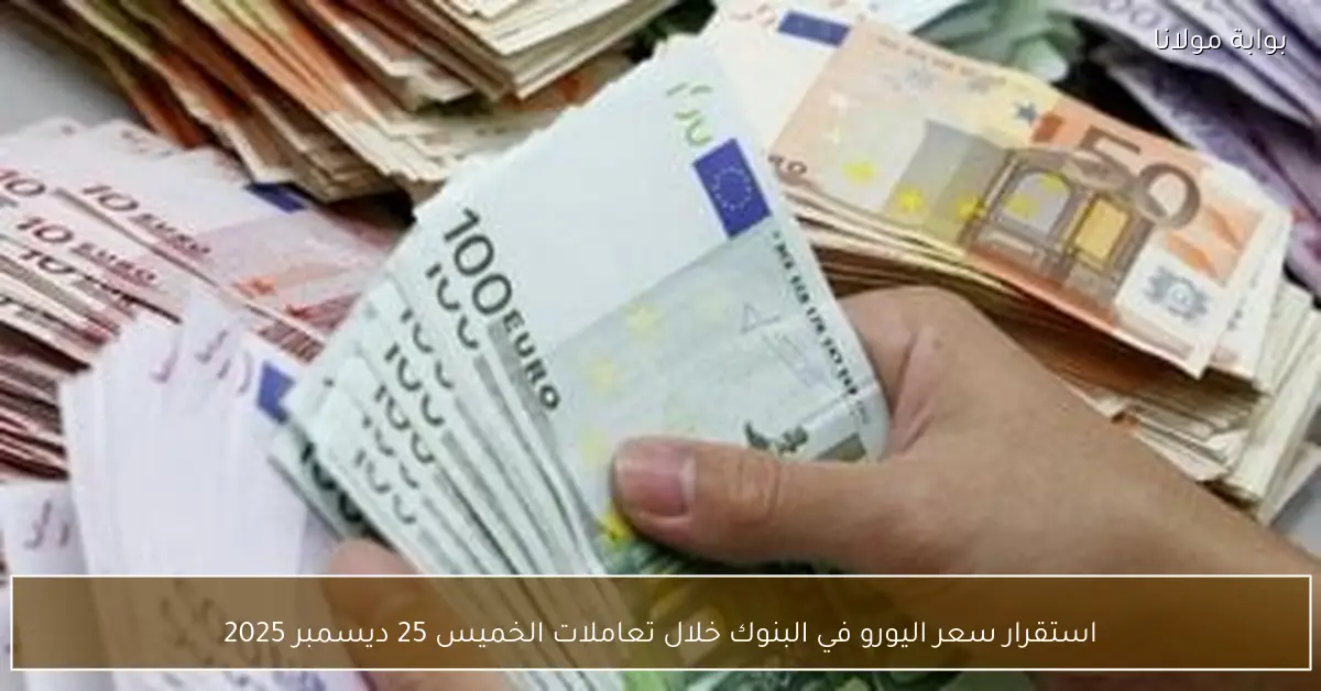 استقرار سعر اليورو في البنوك خلال تعاملات الخميس 25 ديسمبر 2025