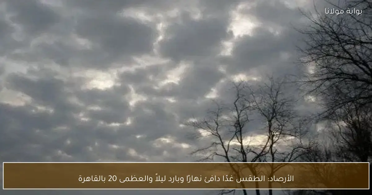 الأرصاد: الطقس غدًا دافئ نهارًا وبارد ليلاً والعظمى 20 بالقاهرة