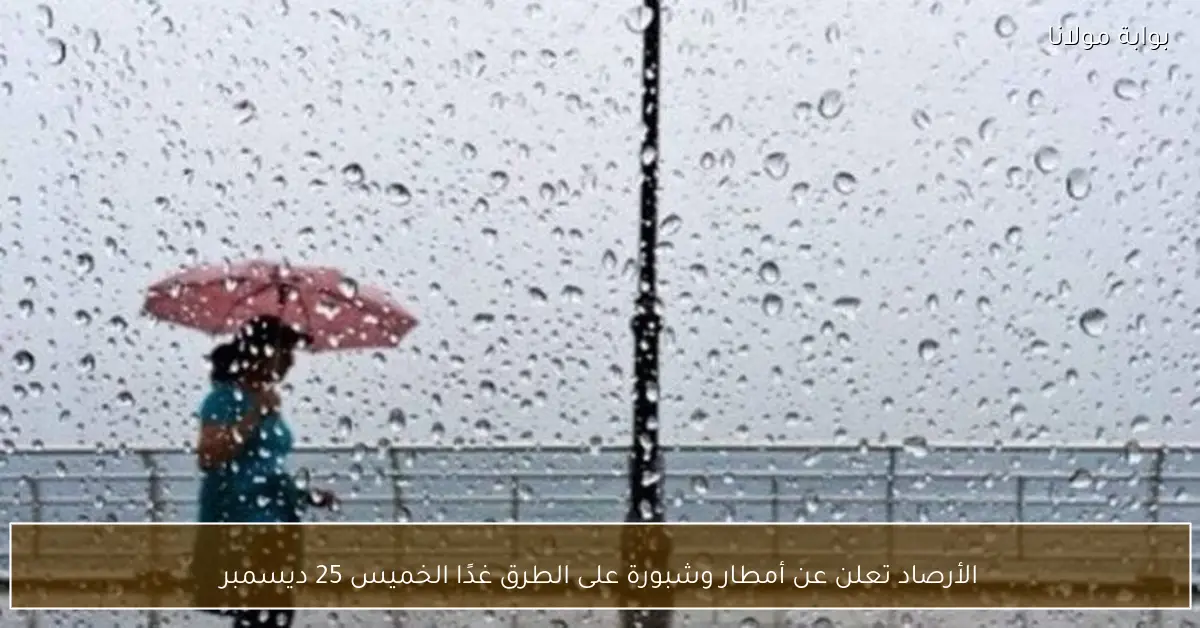 الأرصاد تعلن عن أمطار وشبورة على الطرق غدًا الخميس 25 ديسمبر