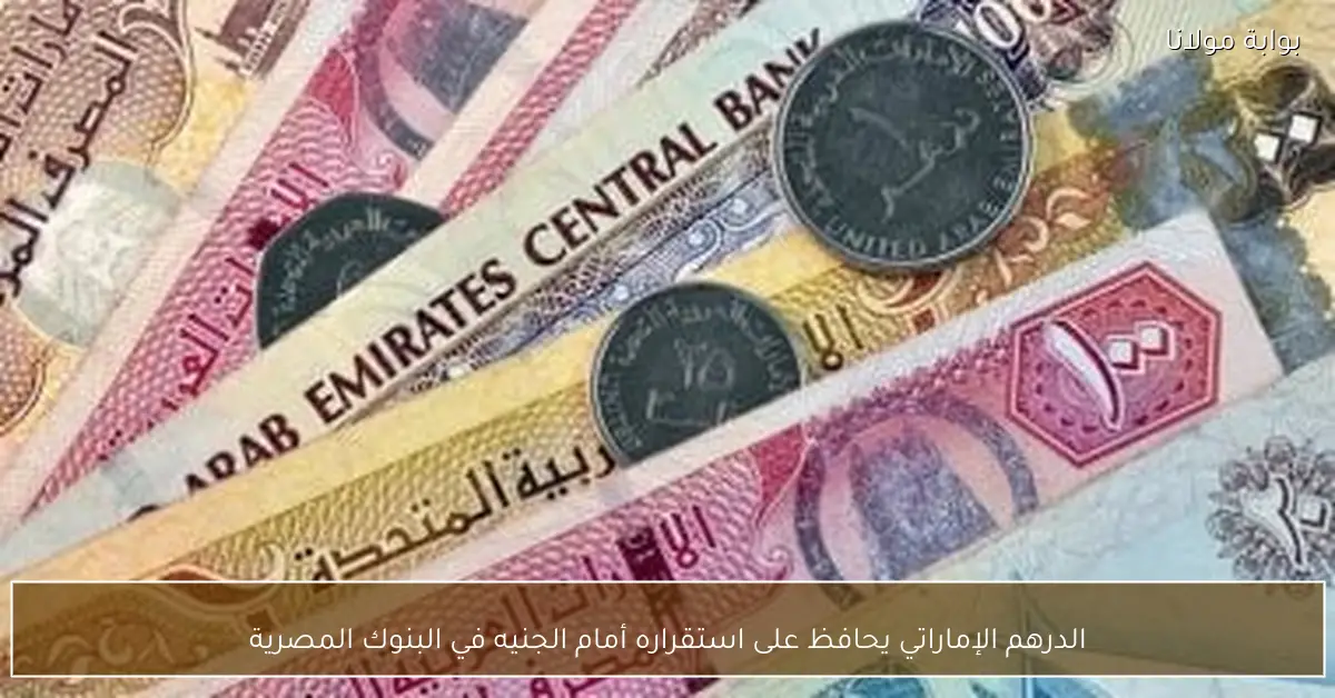 الدرهم الإماراتي يحافظ على استقراره أمام الجنيه في البنوك المصرية