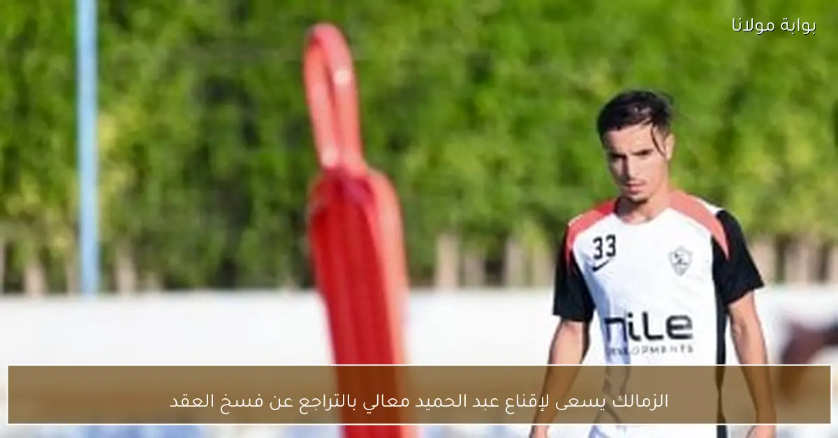 الزمالك يسعى لإقناع عبد الحميد معالي بالتراجع عن فسخ العقد