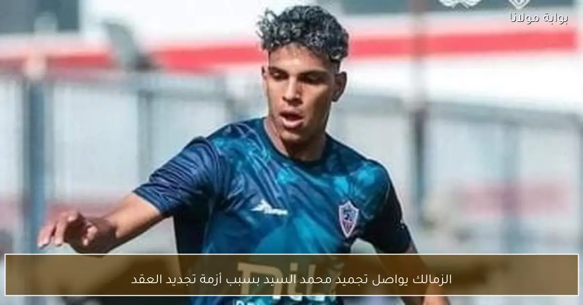 الزمالك يواصل تجميد محمد السيد بسبب أزمة تجديد العقد