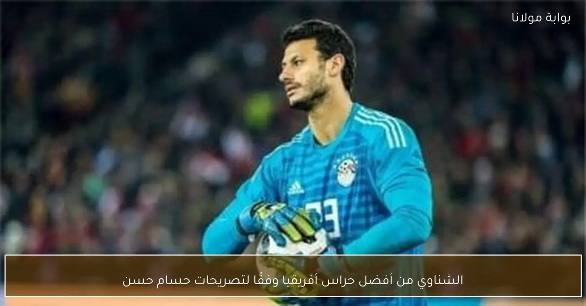 الشناوي من أفضل حراس أفريقيا وفقًا لتصريحات حسام حسن