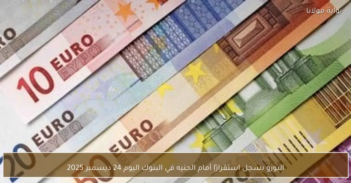 اليورو يسجل استقرارًا أمام الجنيه في البنوك اليوم 24 ديسمبر 2025